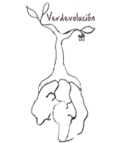 Verdevolución