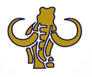 Danna Zoe Nava Ledezma Mamuts111 Prov VNE México