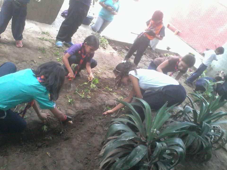 UNA MANO VERDE AL LICEO MARTIN J. SANABRIA