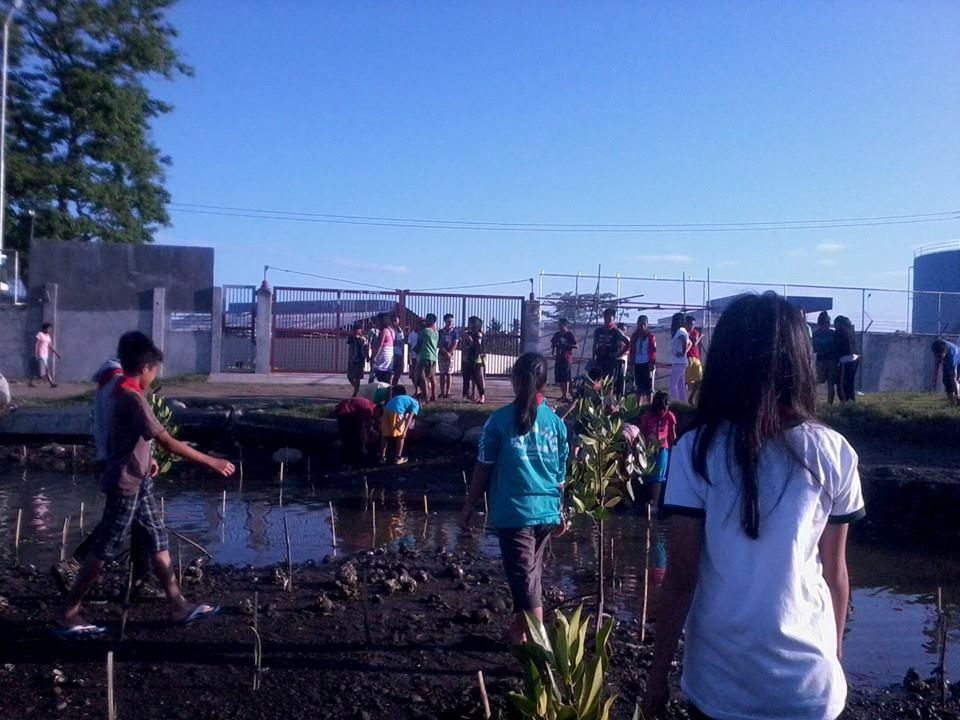 Mangrove Planting