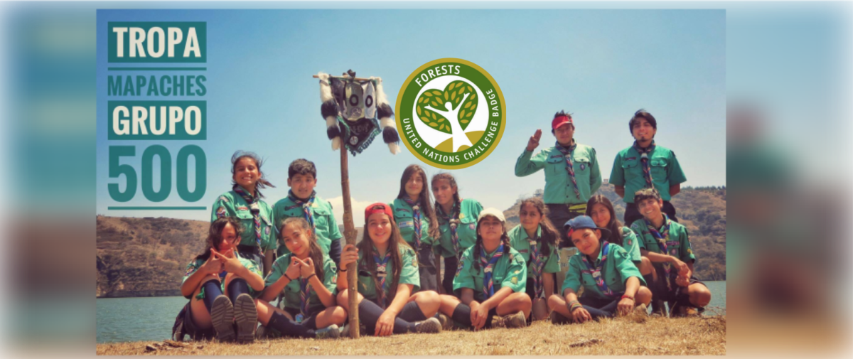 Reto de la Insignia de los Bosques - YUNGA - Tropa Mapaches grupo 500