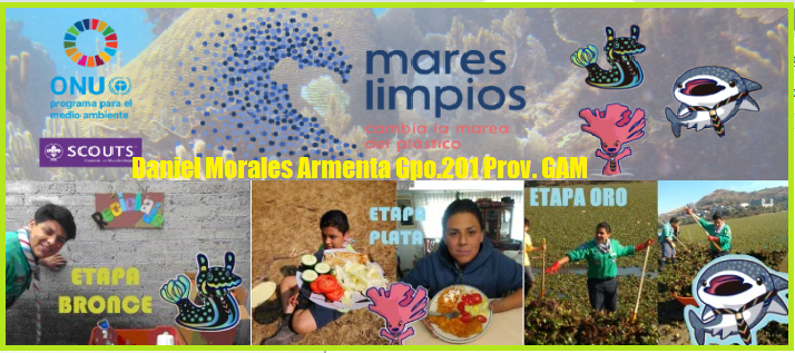MARES LIMPIOS - DANIEL MORALES ARMENTA GRUPO 201 G.A.M - MÉXICO