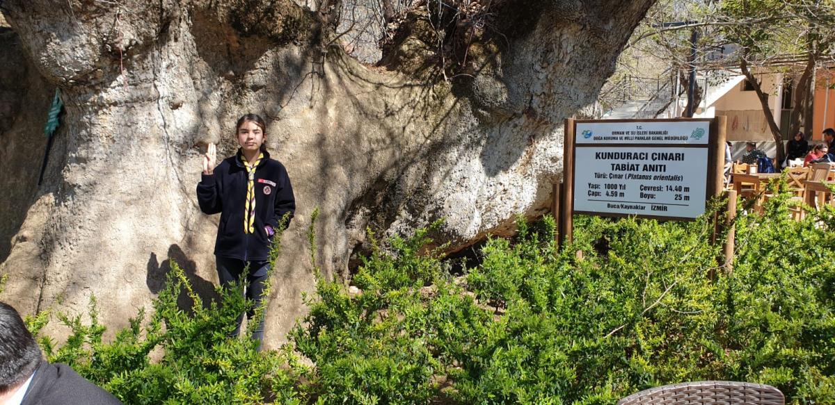 CAP '19 CCC : activity 04 / 10 : " VISIT A MONUMENT TREE"