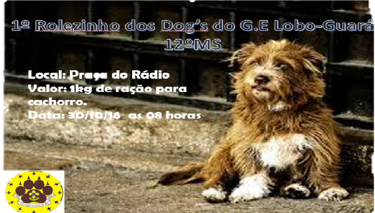 Rolezinho dos Dog`s