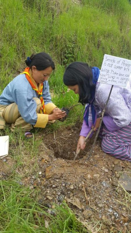 Peace Message and Peace tree plantation