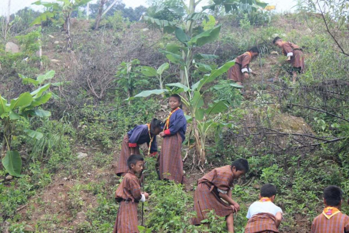 Tree Plantation for peace  