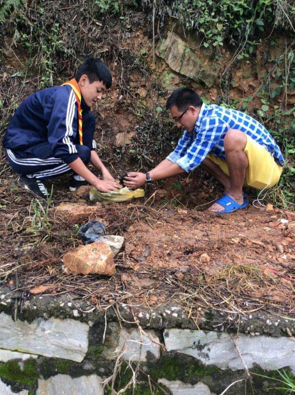 love for nature
