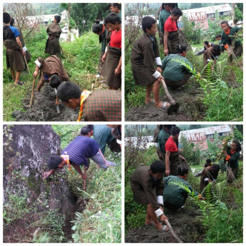 Service to the Community