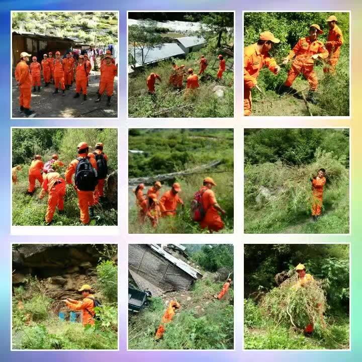 uprooting of marijuana