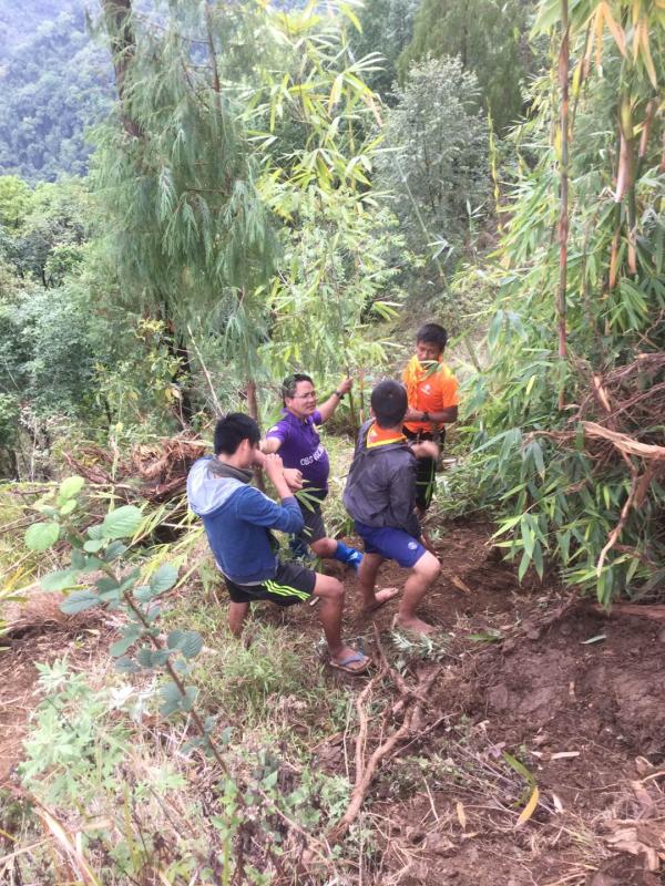 Nurturing nature through plantation