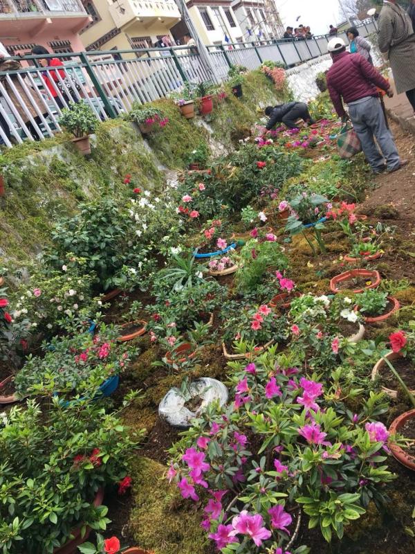 Flower exhibition on Scout Day