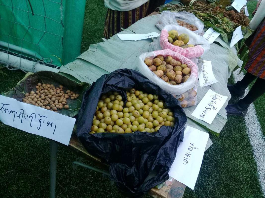 Discovery of natural edible in locality 