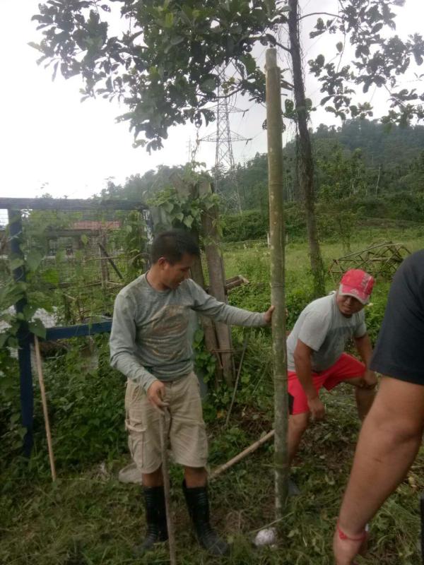 Green house construction