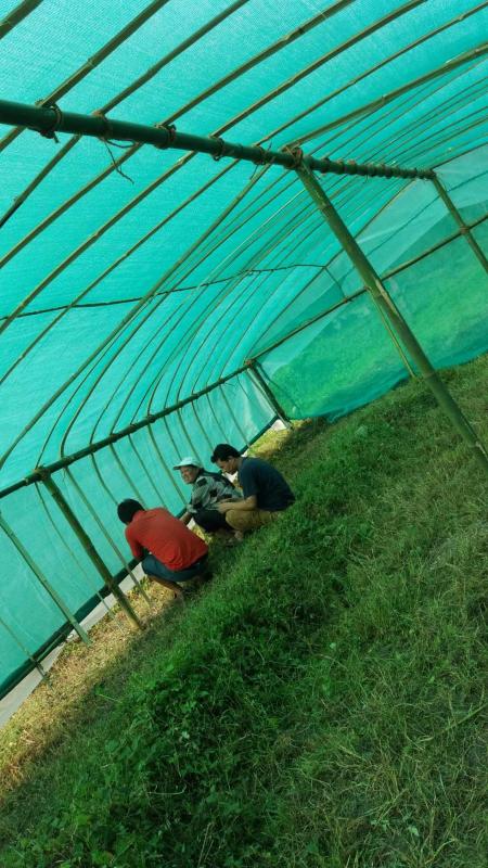 First CBS project in making green house  for the year 2019