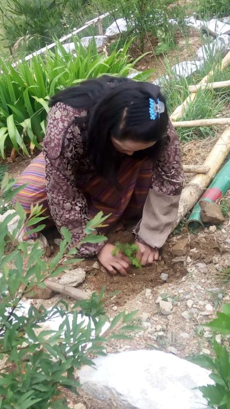 Social Forestry Day Celebration