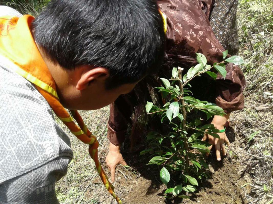 June 2nd Tree Plantation.