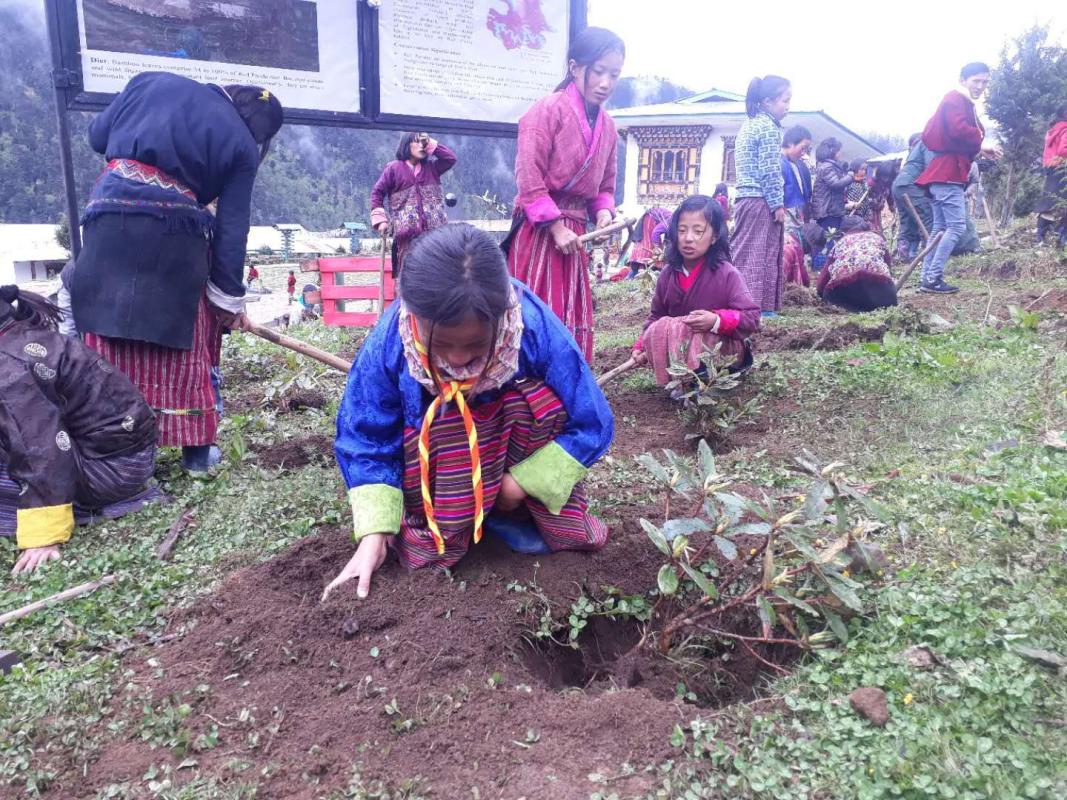 Social Forestry Day (2nd June 2019)