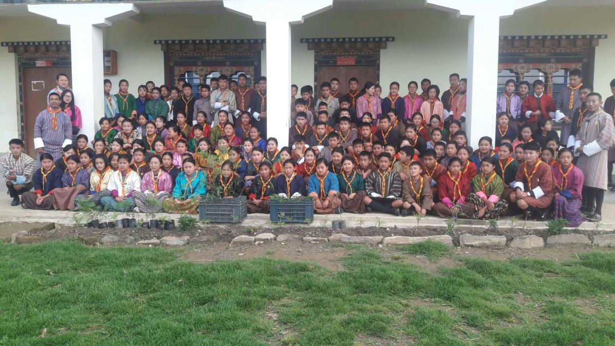 2nd June plantation
