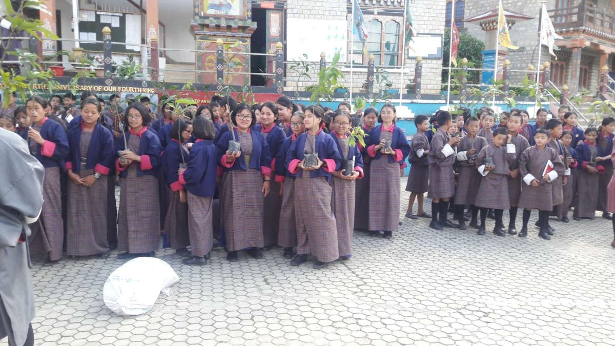 World environment Day