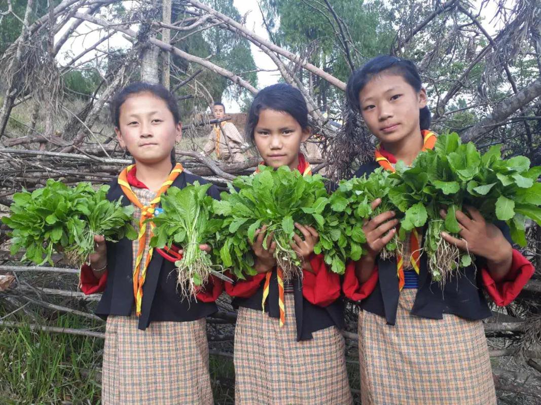 Promotion of organic vegetables.