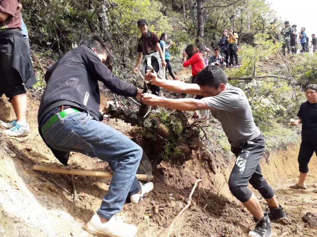 Clearing new footpath
