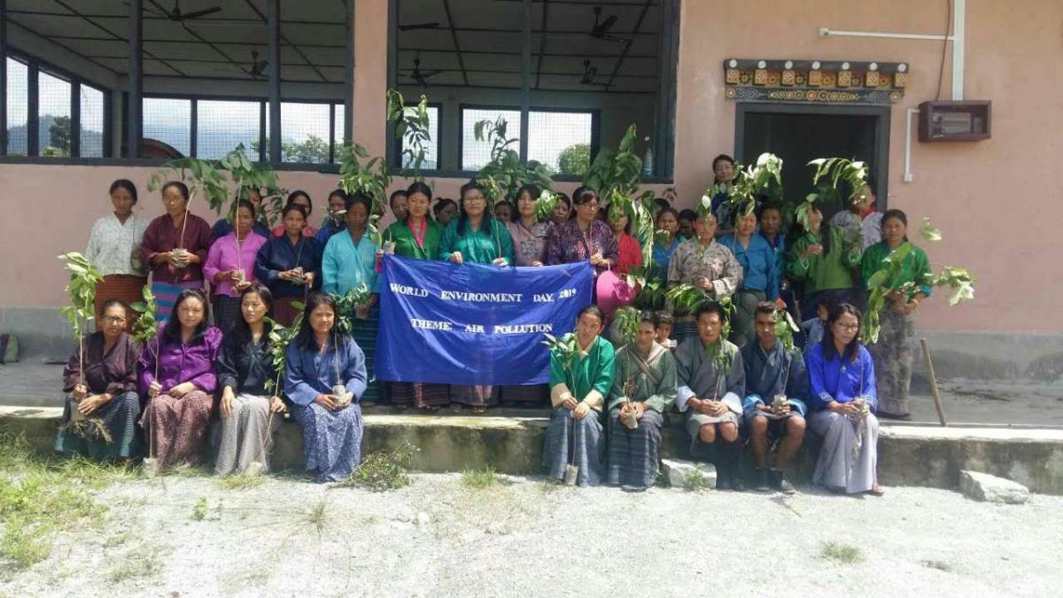 Tree Plantation