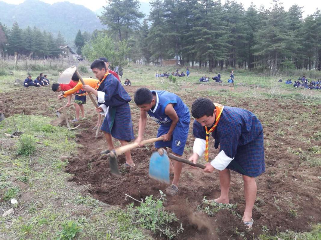 Agricultural service.
