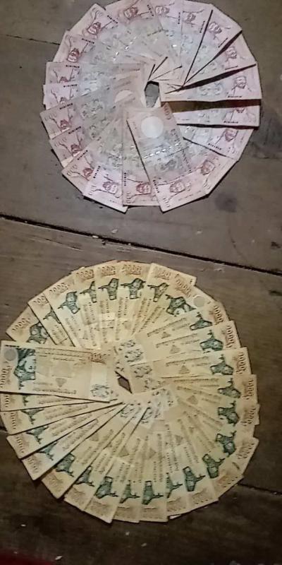 voluntarism and initiative.