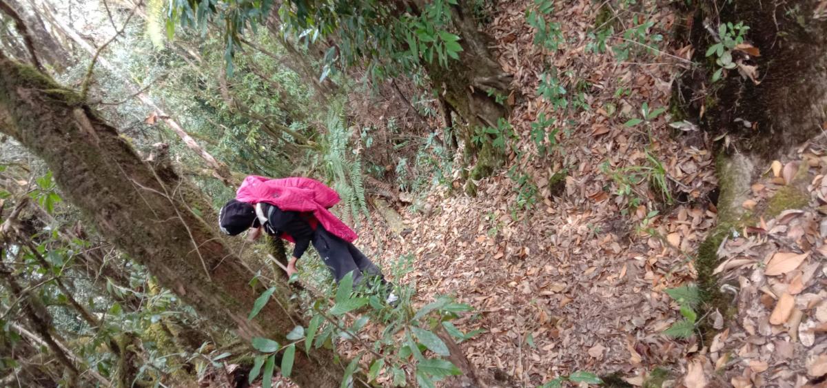 A day trip (survival to the fitness)