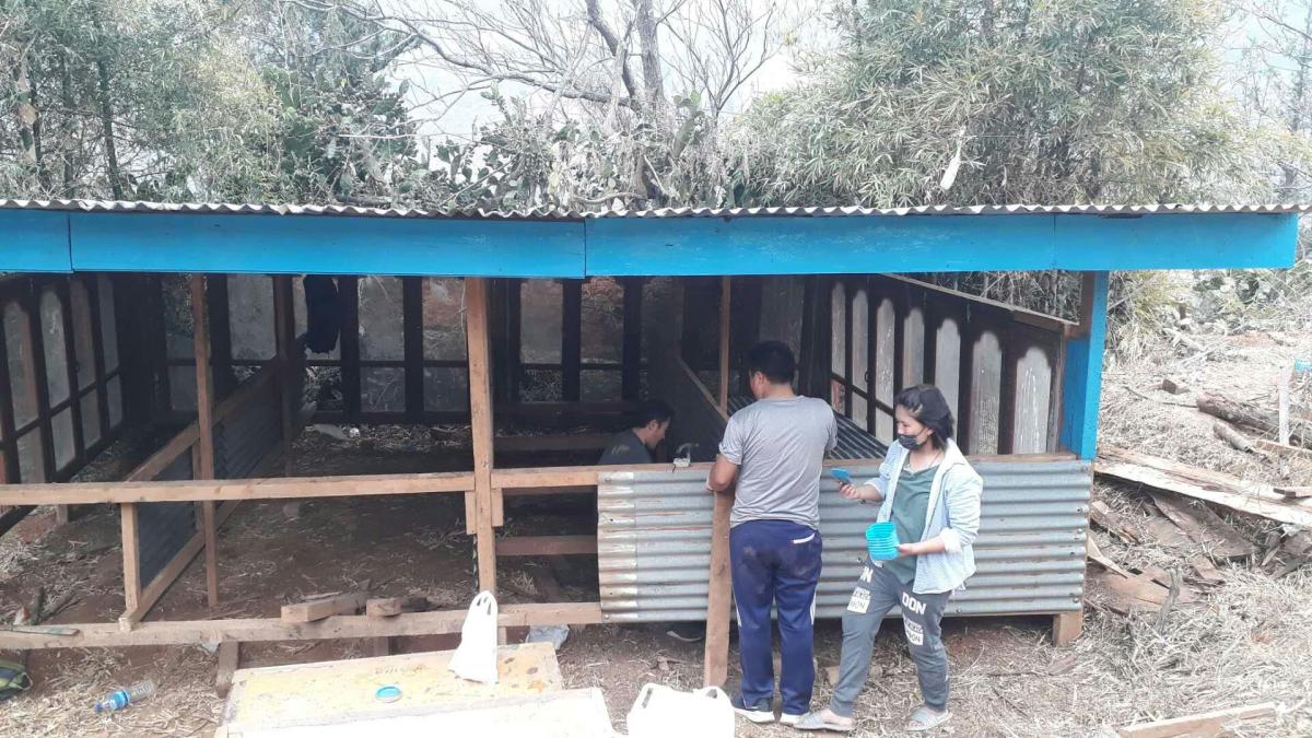 Waste Warrior Project