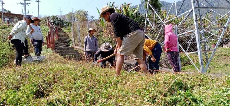Grass cutting
