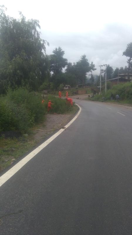 Uprooting of Marijuana plants