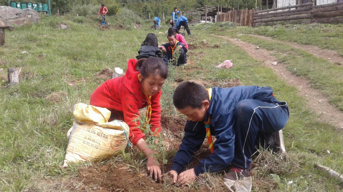 We planted, We cleaned- Little helping hands of Kharsa PS