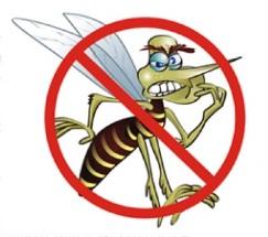 Escoteiros Contra a Dengue