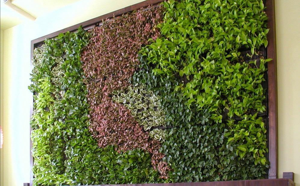 Pared verde
