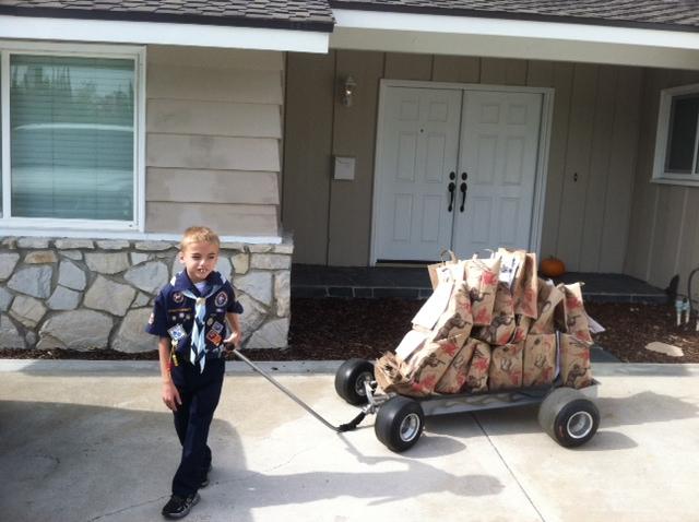 Cub Scouts Organizing A Food Drive