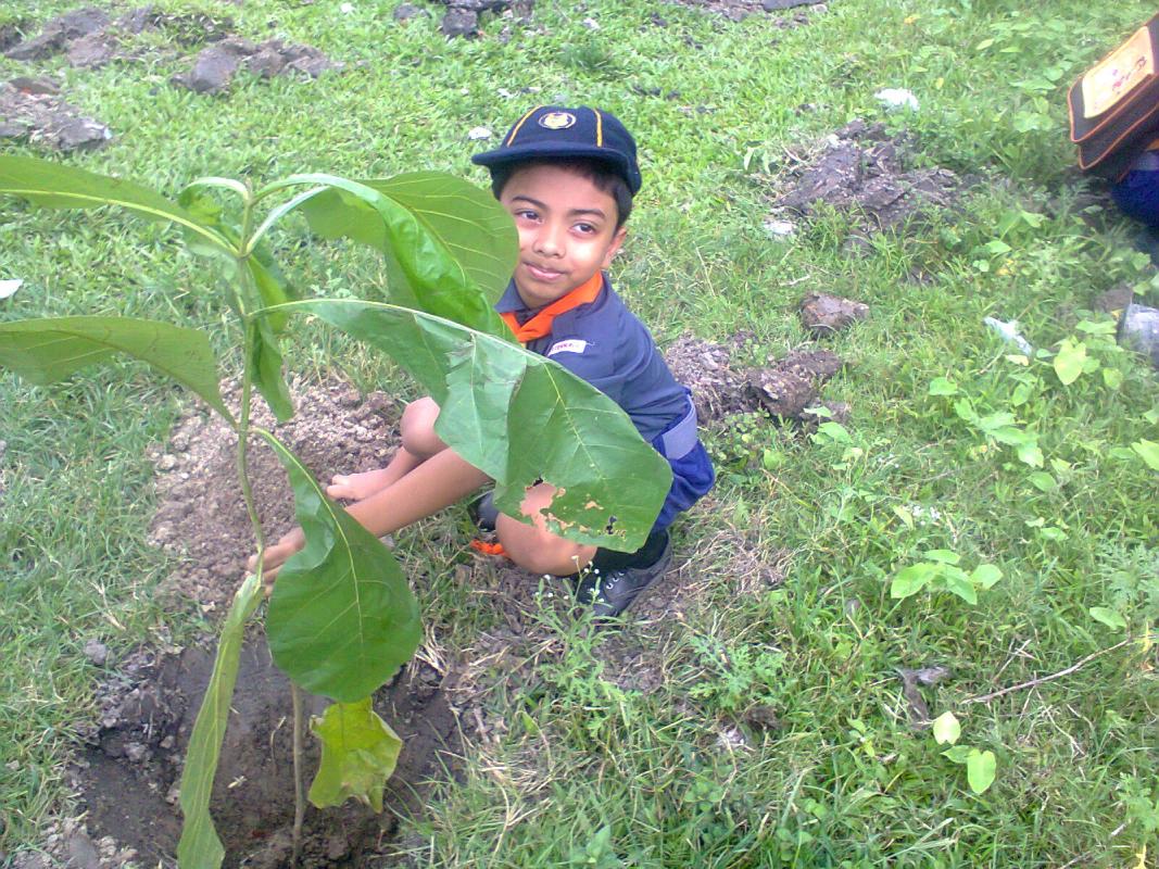 MASS TREE PLANTATION PROGRAMME BY KANCHRAPARA DISTRICT ASSOCIATION