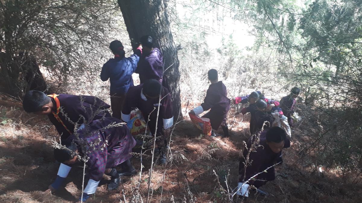 Beautiful environment our responsibility