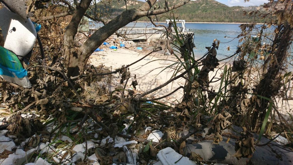 南丫島風災後海岸清理工作