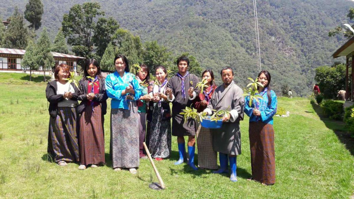 June 2nd Tree Plantation