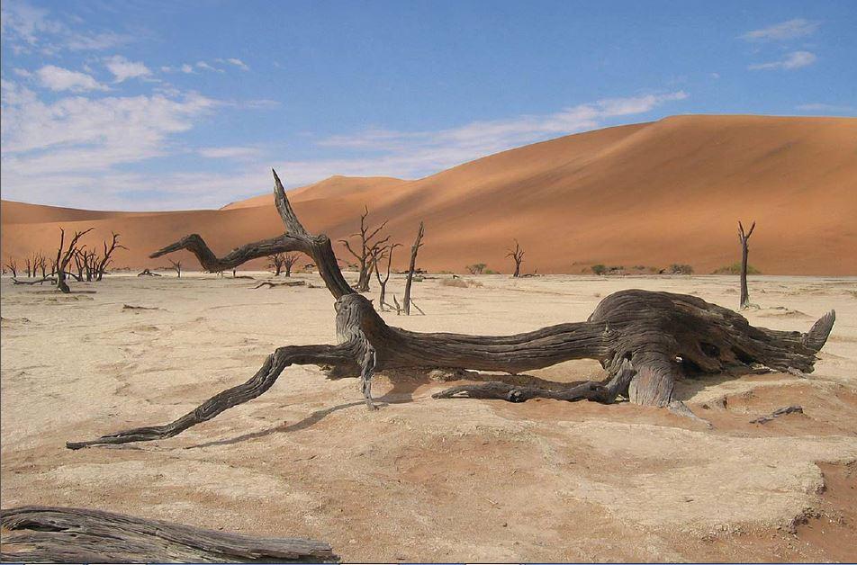 WE ARE GUARDIANS OF THE NATURE AND VOLUNTEERS FOR A BETTER WORLD TOMORROW