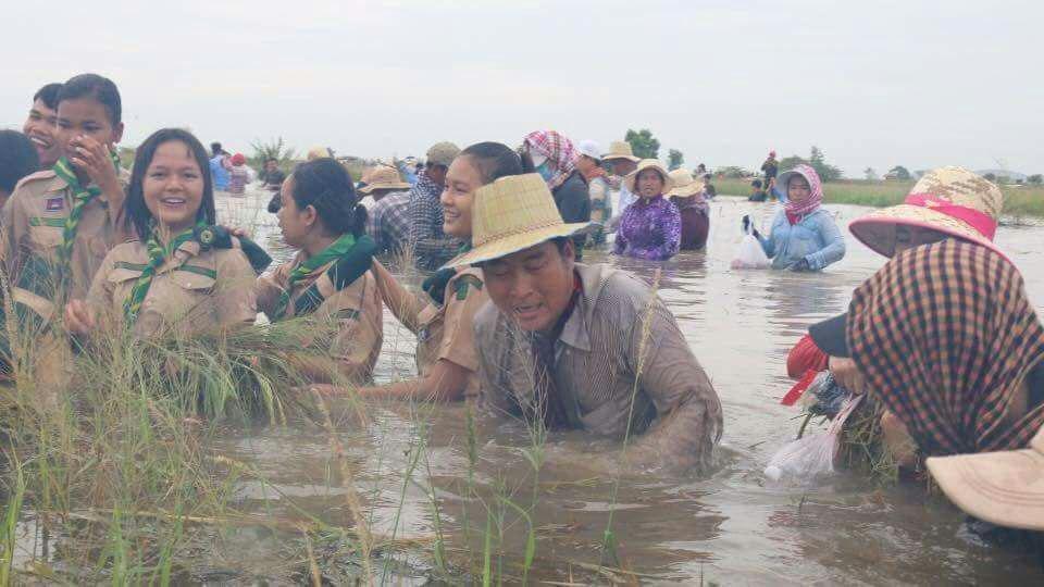 Helping the community to harvest rice from Flood   