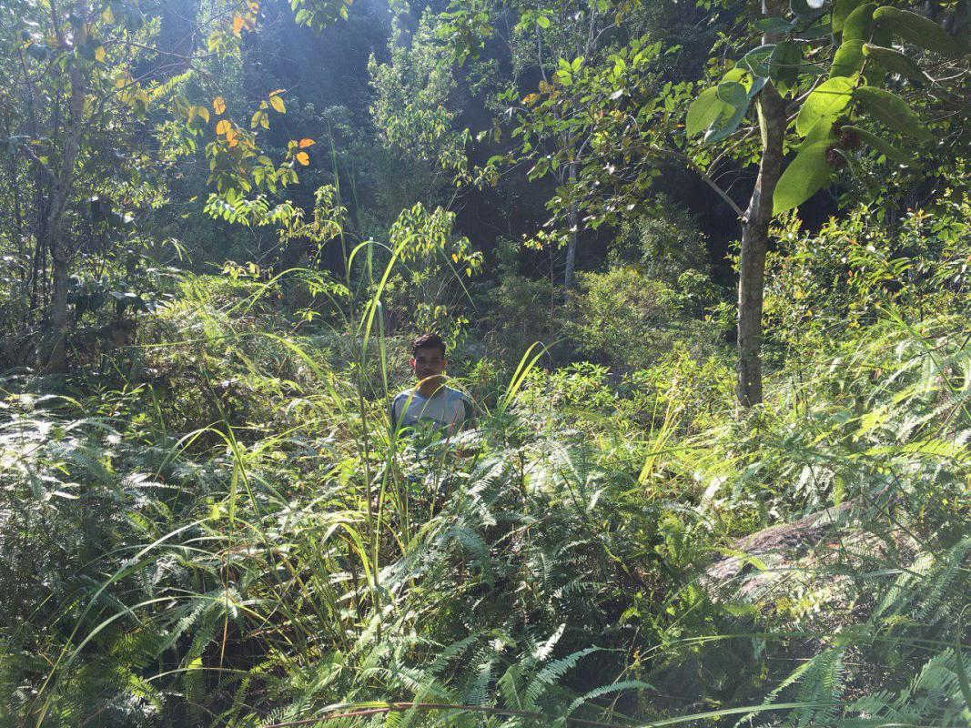 [The Wash Project: Update 5] Melawat Tapak