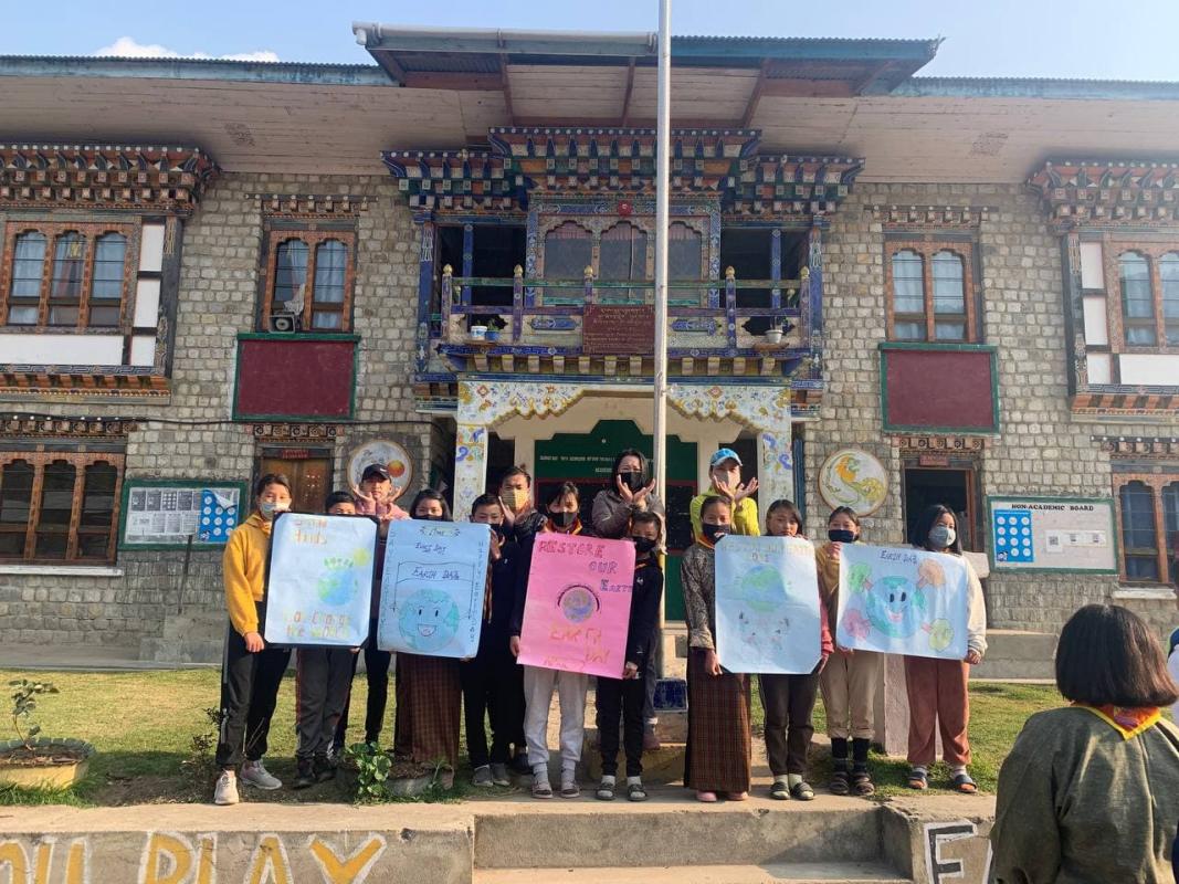 Plantation of Hazelnut saplings