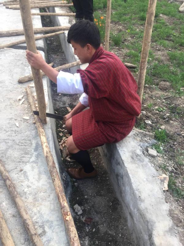 Weeding and fencing of RBFE, Haa