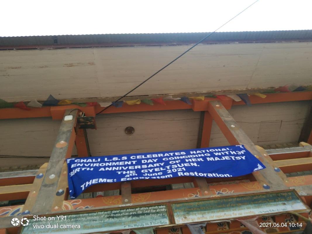 Mass Cleaning Campaign