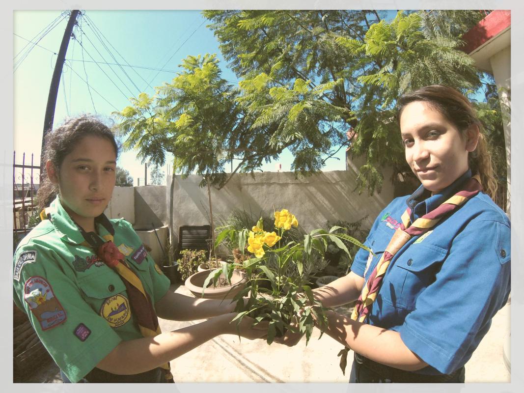 Reto 8 "Planta Endémica"