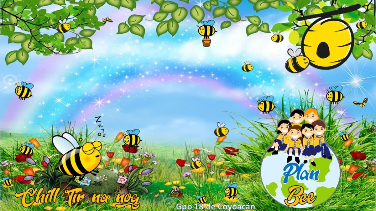 Plan Bee