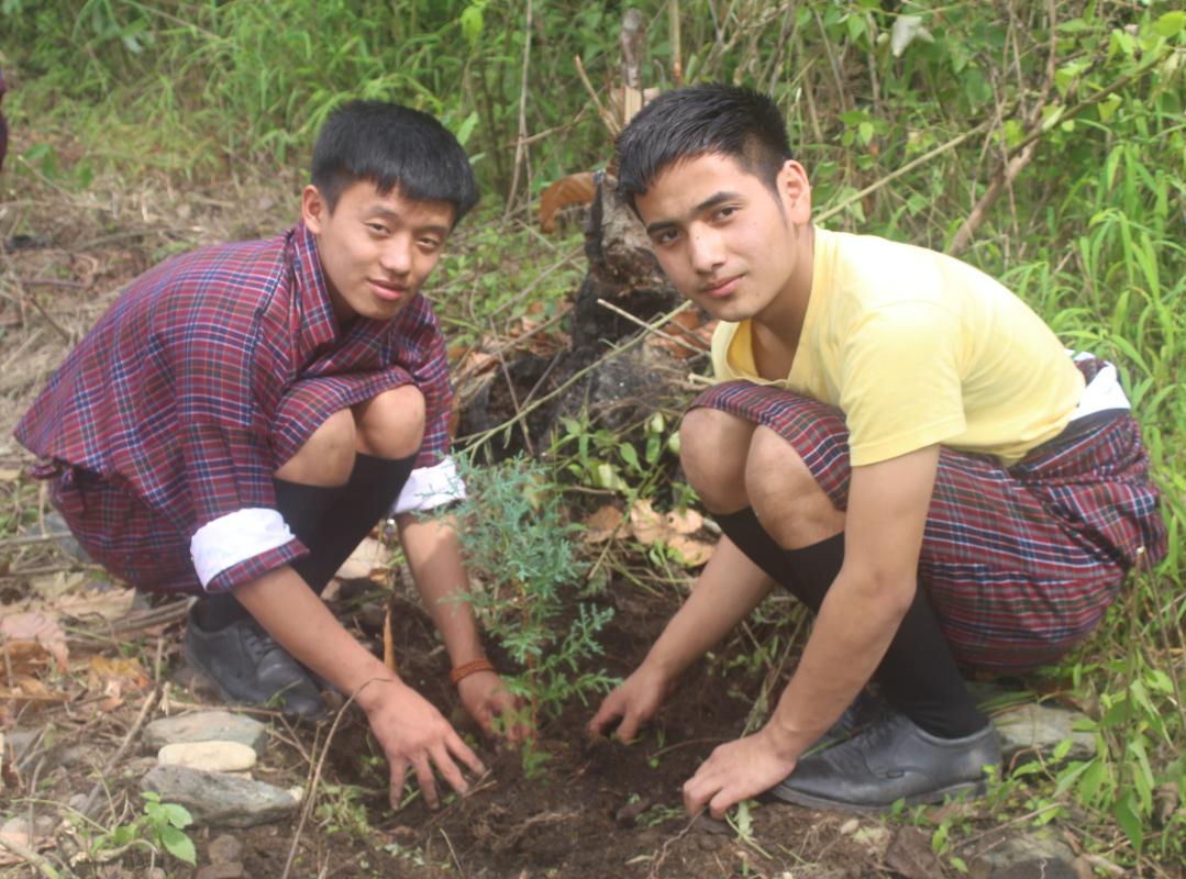 Role of Youth in Preserving the Mother Earth