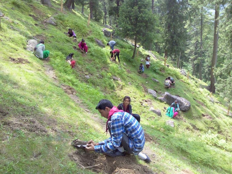 PLANTATION....... AUG 17, 2015